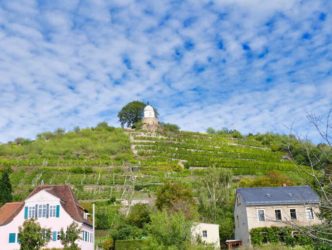 Schloss Wackerbarth Weingut Bild 071