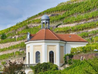 Schloss Wackerbarth Weingut Bild 072