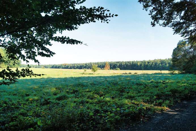 Dresdener Heide, Hofewiese