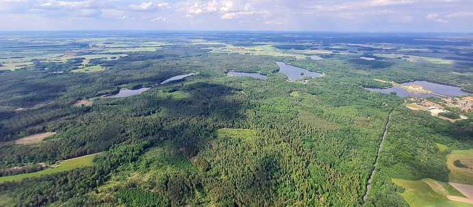 Waldbaden in der Moritzburger Wald und Teichlandschaft 