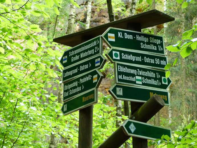 Wegweiser Waldbaden Nationalpark Sächsische Schweiz