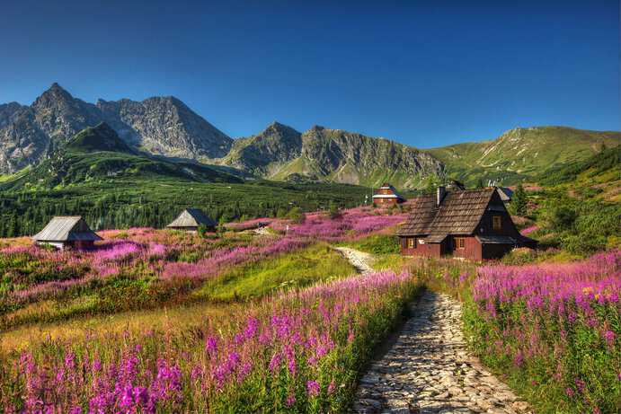 Größte Zakopane-Alm Gąsienicowa