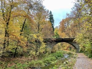 Herbst im Rabenauer Grund