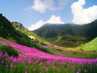 Hohe Tatra